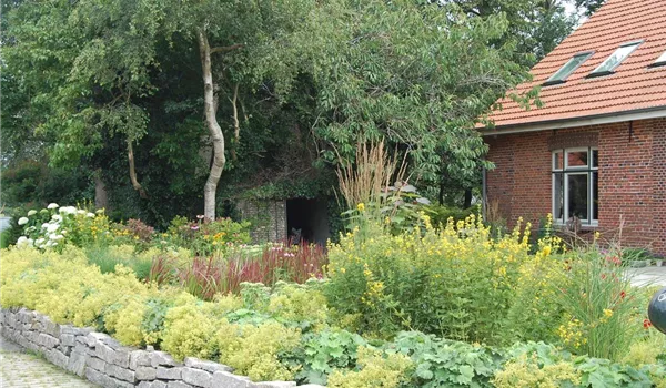 Wangerland Hof Auffahrt Jens Gerdes Garten und Landschaftsbau