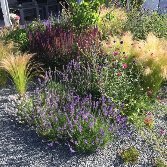 Betriebsurlaub.jpg Beet20241.jpg